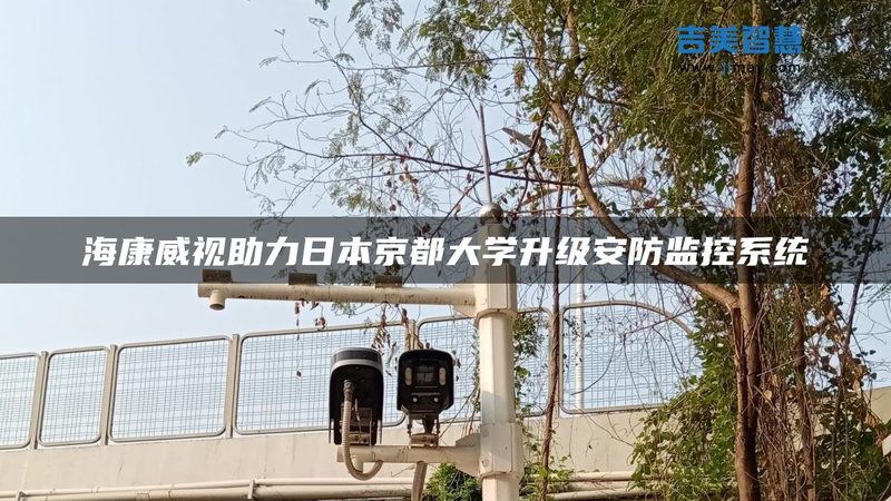 红外夜视监控的真相：成都批发市场为何偏爱双光源
